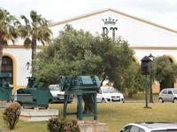 Jerez de la Frontera - Bodega Real Tesoro
