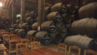 Jerez de la Frontera - Bodega Real Tesoro