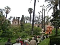 Sevilla Real Alcazar