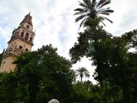 Cordoba Mezquita