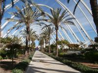 Valencia Stadt der Kunst und Wissenschaften