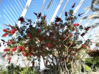 Valencia Stadt der Kunst und Wissenschaften