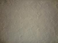 Fussabdruecke im Sand noch nicht versteinert ! 