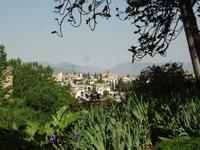 Aussicht vom Gneralife Palast