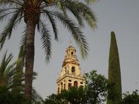 Cordoba, we love you