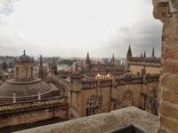 Blick auf die Kathedralendaecher 