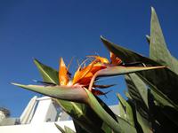 Der strahlende Himmel von Marbella