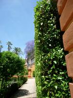 Sevilla Alcazar Gärten