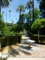 Sevilla Alcazar Gärten