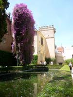 Sevilla Alcazar Gärten