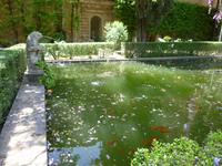 Sevilla Alcazar Gärten