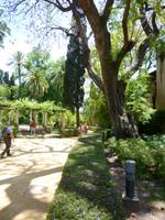 Sevilla Alcazar Gärten