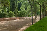 Generalife - L9982315