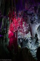 Gibraltar St. Michael Höhle - L9982530