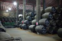 Jerez de la Frontera - Bodega Marques del Real Tesoro - L9982678