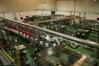 Jerez de la Frontera - Bodega Marques del Real Tesoro - L9982689