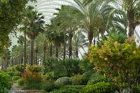 Valencia Hemisphere - L9983352