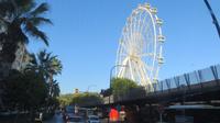 Malaga (1)