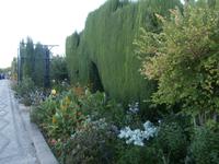 Alhambra in Granada-Generalife