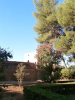 Alhambra in Granada-Generalife