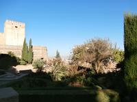 Alhambra in Granada