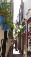 Cordoba - Callejon de las Flores