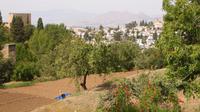 Granada - Alhambra