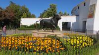 Stierkampfarena - Ronda 