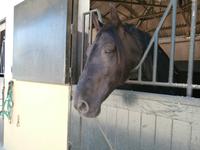 Jerez de la Fronterra Bodega Real Tesoro