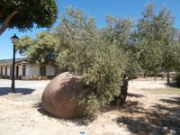 Jerez de la Fronterra Bodega Real Tesoro