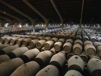 Jerez de la Fronterra Bodega Real Tesoro