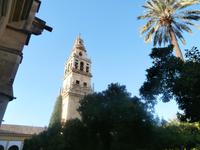 Cordoba Mezquita 