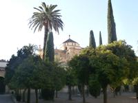 Cordoba Mezquita 