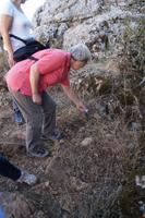 Krokus oder Herbstzeitlose?