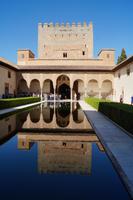 Spiegelbild auf dem Myrtenhof