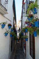Blumengasse Córdoba
