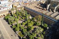 Blick vom Glockenturm der Kathedrale von Córdoba