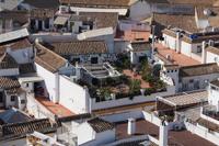 Dachgarten, Blick vom Glockenturm der Kathedrale von Córdoba