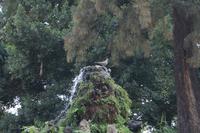 In den Gärten des Alcázar an Sevilla