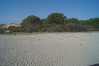 Suchbild: Wo ist das zweite Pferd?