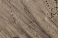 Spuren im Sand