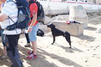 Der Hund hätte wohl gerne etwas ab. Aber er bekommt nichts. 