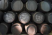 In der Bodega Tradición