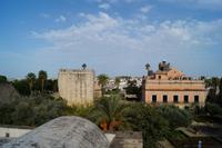 Im Alcázar von Jerez
