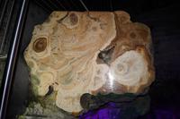 Geschliffener Stalaktit