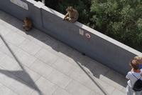 Respektvoller Abstand