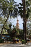 Plaza de España mit Droschken im Parque de María Luisa