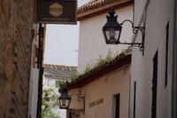 Straßenszene in Córdoba mit grasbewachsenem Dach