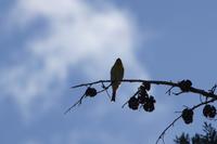 Mach jetzt bloß kein'n Sch...! 