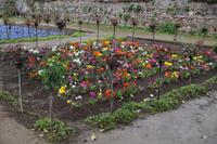 Blumenbeet in der Alhambra